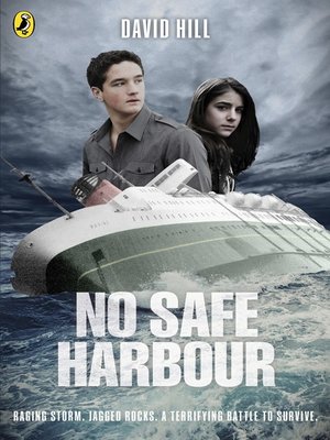 cover image of No Safe Harbour